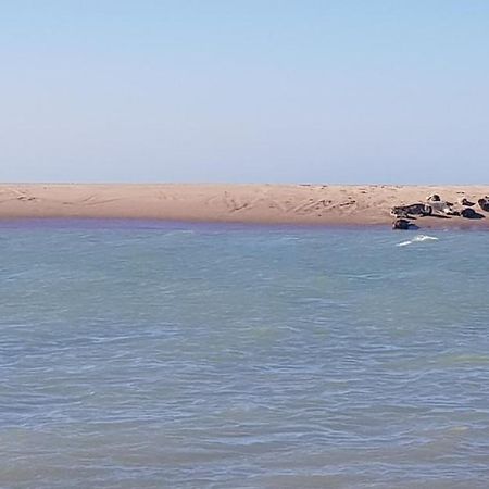 L Hyppo Camp' Bed & Breakfast Oye-Plage Bagian luar foto