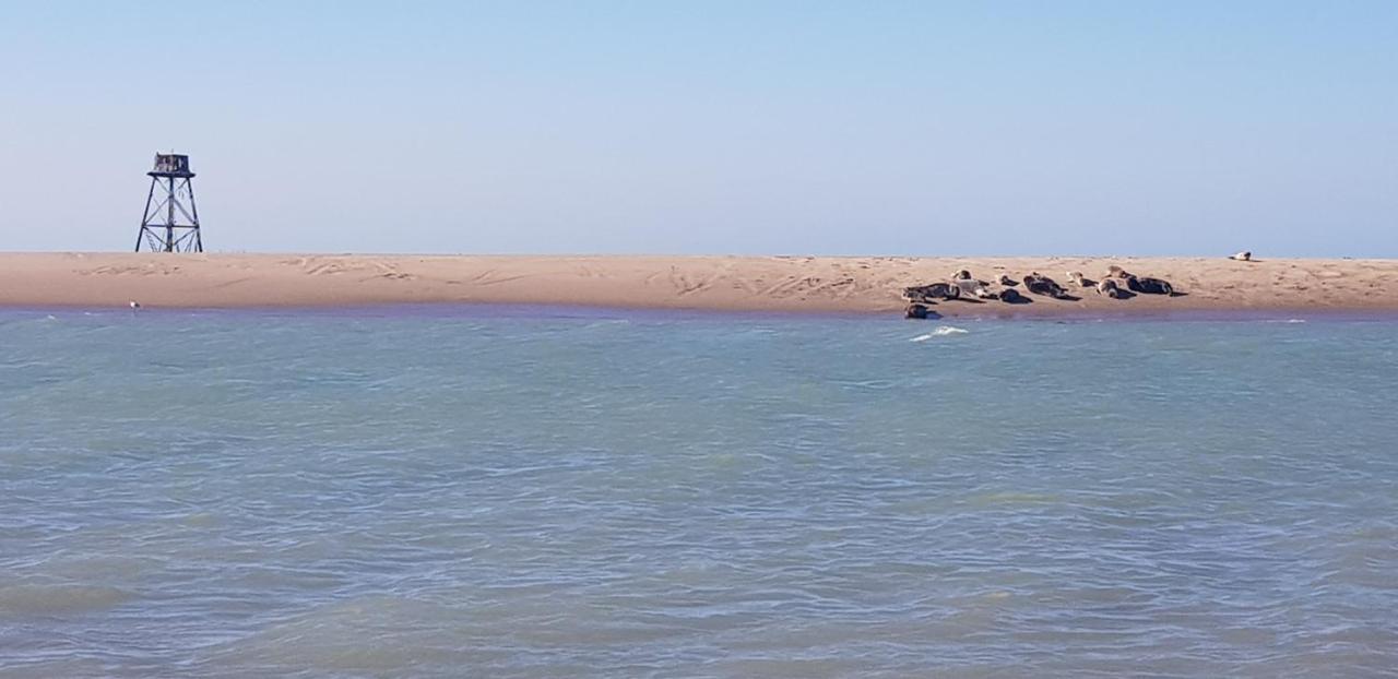 L Hyppo Camp' Bed & Breakfast Oye-Plage Bagian luar foto