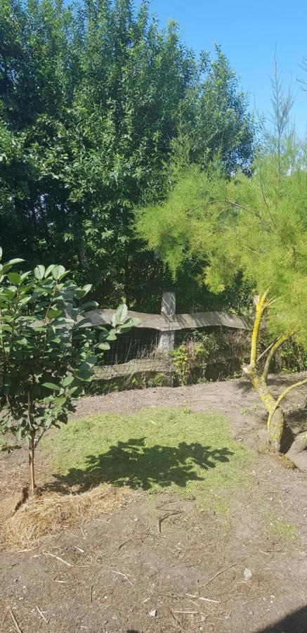 L Hyppo Camp' Bed & Breakfast Oye-Plage Bagian luar foto